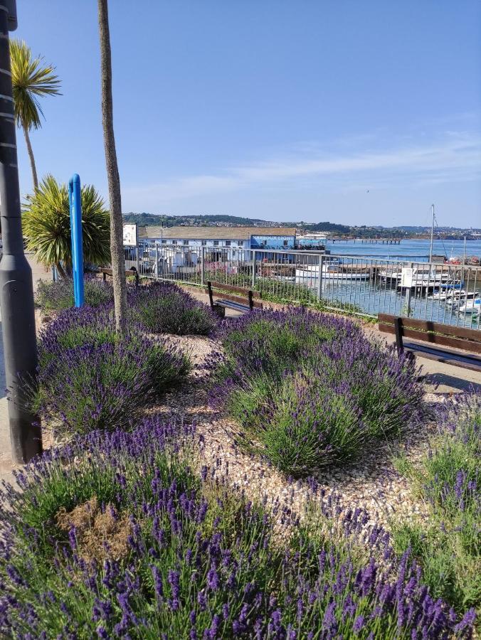Cleve Court Hotel Paignton Eksteriør billede